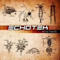 Echotek - Motion