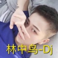 梦柯 - 林中鸟