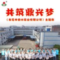 吴歌、张锦嫣 - 共筑鼎兴梦