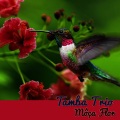 tamba trio - Môça Flor