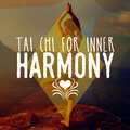 Tai Chi And Qigong - Daydreaming