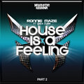 ronnie maze、Linda Dunn - House Is a Feeling (Jason Rivas Remix)