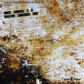 Flo Hofmeister - Untitled