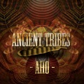 Aho - Liquid Vision