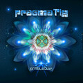 Pragmatix - Desarrollo