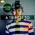Ameritz Tributes - Someone to Love