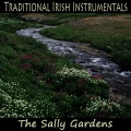 Traditional Irish Instrumentals: The Sally Gardens