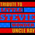 Stevie Wonder - Ain't That Love