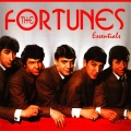 The Fortunes - You Captured My Heart