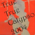 DJ林跃峰 - What is a Calypso