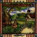 The Grassmasters - Mary Did You Know