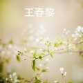 王春黎 - 红旗