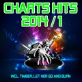 Burn、Let Her Go、Charts Hits 2014 / 1、incl. Timber - Confident (Oh No No)