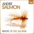 Andre Salmon - Something About You