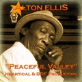 BDF、Dub Terror - Ministerio del Dub in the Valley