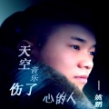 姚鹏 - 伤了心的人