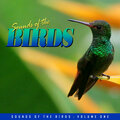 Everness - Songs of the Dancing Cranes