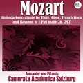 Royal Philharmonic Orchestra、Alexander Pitamic - III. Andantino con variazioni
