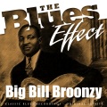The Blues Effect - Big Bill Broonzy