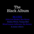roosevelt sykes - Jet Black Snake