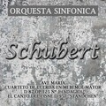 Orquesta sinfónica、Franz  Schubert - Rondo Para Violín Y Orquesta De Cuerdas En La Mayor