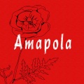 The Hit Band - Amapola