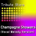 Tribute Stars - LMFAO feat. Natalia Kills - Champagne Showers