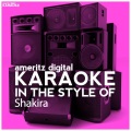 Karaoke (In the Style of Shakira)