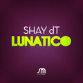Shay DT - Lunatico (original mix)