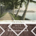 The Crickets - A Sweet Love