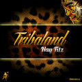 Nay Fitz - Island Groove