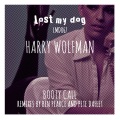 Harry Wolfman - Booty Call