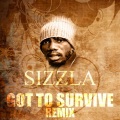 Got to Survive Remix