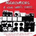 the aggrovators - Mr. Mister
