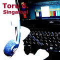 Torus、Toru S. - Singafool