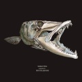 Fish Guts (Explicit)