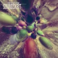 Mirror Me - Soundskrit