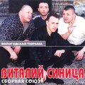 Виталий Синица、Сборная Союза - Белая акация