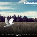 Christian Liebeskind、Martin Eigenberg、Foresight - Sentido (Radio Edit)