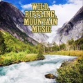 erik darling - Blue Grass Banjo