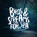 Nature Spa - Birds Above the Brook