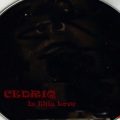 Cedo - Is This Love