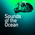 Ocean Sounds - Waves: On to the Beach