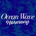 Beach Waves Specialists - The Power of the Sea