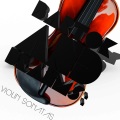 Igor Oistrakh - Violin Sonata No. 3 in D Minor, Op. 108: I. Allegro