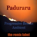 Funkocrat - Dreamjoy (Progressive Acid Breaks Mix)