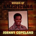 johnny copeland - Gonna Make My Home Where I Hang My Hat