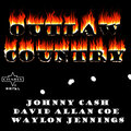 david allan coe - These Days