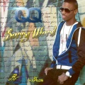 QQ - Sorry Word