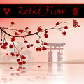Reiki Flow